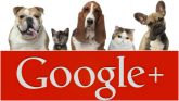 googleplus